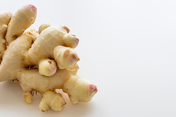 ショウガ　新生姜　白背景