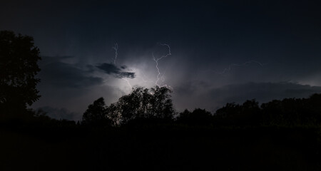 lightning over the forest
