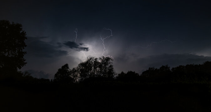 lightning over the forest