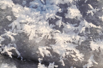 Delicate Frost Ice Crystal Formations on Frozen Lake Ice Surface