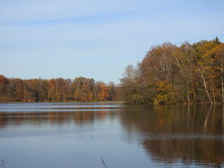 autumn trees on a lake