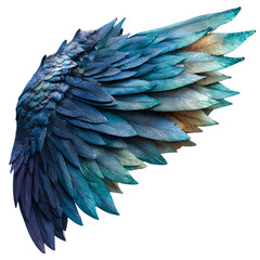 Detailed textured fantasy bird wing with iridescent blue and green feathers isolated on transparent background