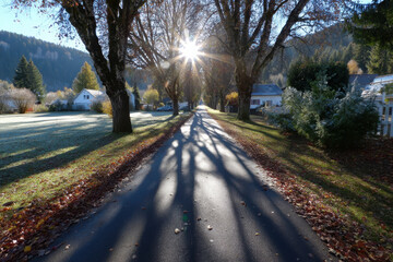 Fototapeta premium Sunlight filtering through trees along a quiet rural road in autumn