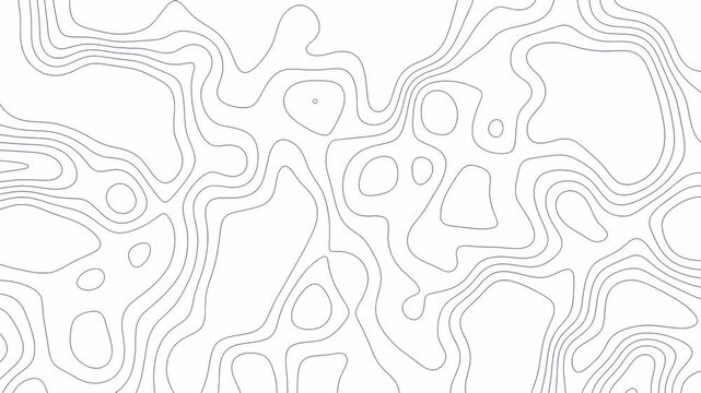 Topographic map animation. Abstract minimalist contour lines seamless loop. Abstract topographic contour map concept, Cartography geographic terrain pattern design.