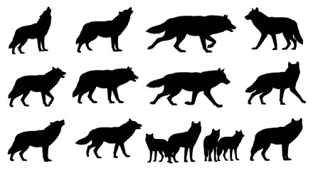 Obraz premium Silhouetted wolves in various poses, including howling and walking.