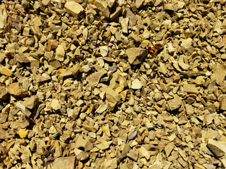 Yellow sandstone texture, natural stone surface, background for design and architecture