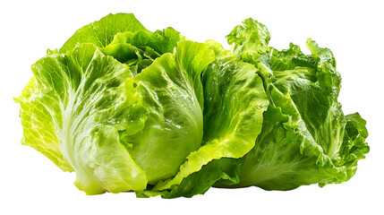 Fresh Lettuce Head, isolated on transparent background