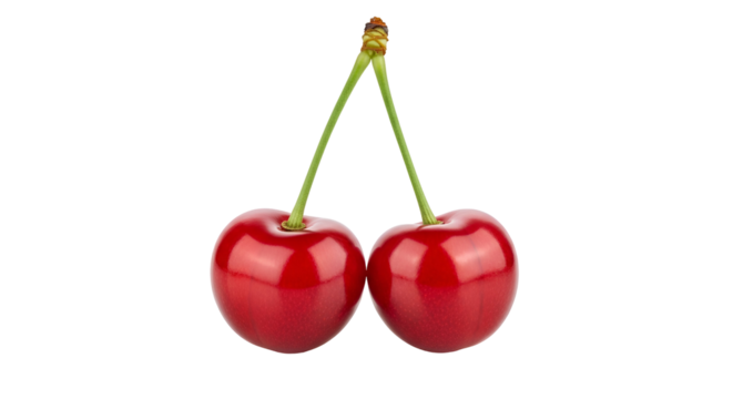Two glossy red cherries with green stems on black background cherry fruit