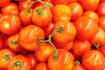 Red tomatoes are lying in  trays on the shop counter. Tomato theme background