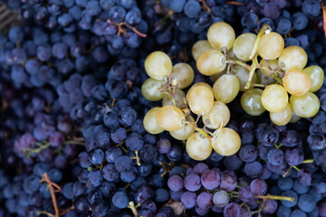 top view of grapes in a basket
