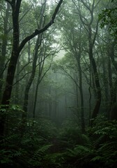 Fototapeta premium Dense canopy drips with accumulated dew, creating a mysterious, humid atmosphere in this lush, primeval moisture forest environment ,vegetation ,vapor ,wet