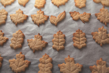Homemade baked cookies in leaf shapes on a dark plate with autumn leaves. Cozy fall dessert, homemade recipe, seasonal baking, and sweet handmade gift idea.