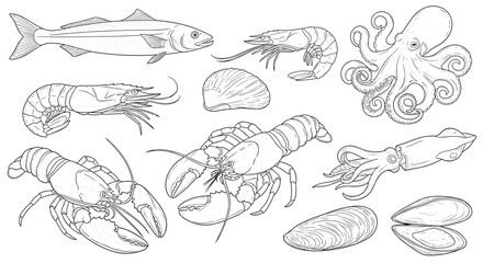 Detailed line drawing set showcasing a variety of popular seafood, such as fish, shrimp, lobster, octopus, squid, scallops, and mussels.