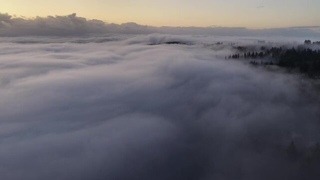 Dawn illuminates fog as it drifts across a Pacific Northwest landscape near Portland, Oregon. Fog forms when moist air cools to its dew point, causing water vapor to condense.