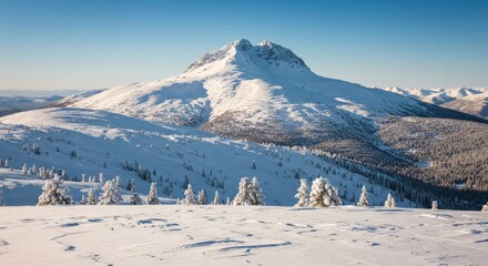Snowcovered Mount Kosciuszko Winter Alpine