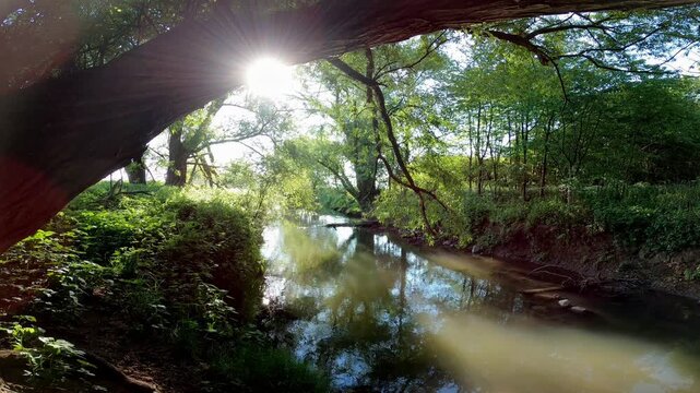 Fluss, Kinzig, Sonne, Fr&uuml;hling, Langenselbold, Hessen, Deutschland