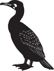 Silhouette of a cormorant bird with a curved neck on a white background black on transparent background