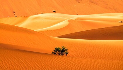 Serene Desert Landscape - Dunes and Sparse Vegetation in Golden Light.