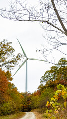Wind Turbine on Forest Trail Surrounded by Autumn Foliage