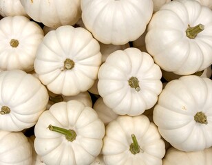 Pile of White Pumpkins - A Harvest of Autumnal Beauty.