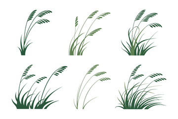 Illustrations of tall grass swaying gently in the breeze against a white background.