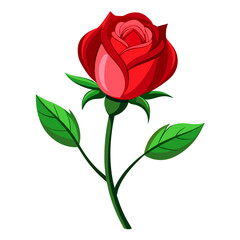 Single red rose flower illustration on a stem with green leaves, detailed vector graphic design element for romance, love, and greeting cards.