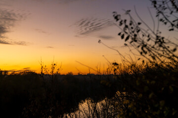 River and trees silhouette at sunset with orange sky and soft clouds. Evening landscape photography with calm water reflection and autumn vegetation. Nature and environment concept.