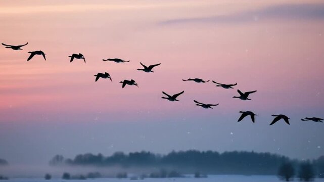 Flock of geese flying in formation across a pastel winter sunset sky with falling snow and
