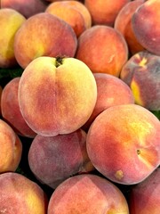 gros plan sur des pêches jaunes chez un producteur bio