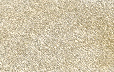Rough paper texture 