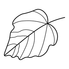 Simple leaf line drawing icon, eco nature outline symbol for environment and botanical design concept