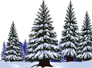 blue landscape with isolated firs in snow