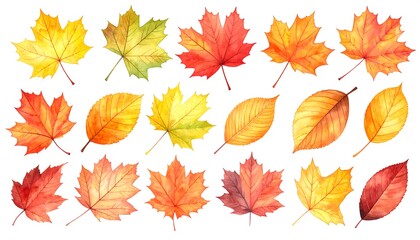 Autumn Leaves Watercolor Collection - Vibrant Fall Foliage Art.
