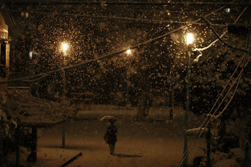 Daily Life in Japan
A woman walking through a small urban park on a snowy evening
