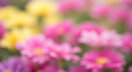 Obraz premium Soft Floral Abstract: Dreamy Pink, Yellow, and Purple Blooms in Blur.