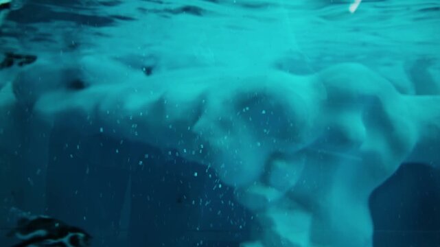 Penguins swimming gracefully underwater in a zoo aquarium, captured through the glass in soft blue light. Calm aquatic atmosphere and natural animal behavior. Horizontal 4k footage