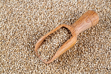 White chia seeds on a white background