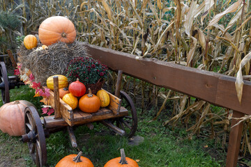A close-up of the rustic wooden cart and its autumnal contents, emphasizing the rich colors of the...