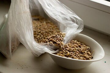 Many yellow grains poured into white bowl from transparent package, warm colors, horizontal photo....