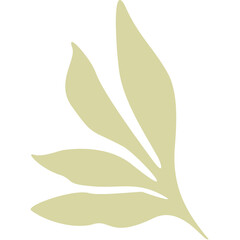 Abstract Pale Green Leaf Shape With Smooth Edges Delicate Natural Motif Isolated On White Background Minimalist Botanical Element Clean Design