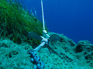 Grapnel anchor on rocky sea floor