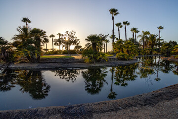 Fototapeta premium Peaceful path with palm trees and pond at sunset in José Celestino Mutis Botanical Park, Palos de la Frontera, Huelva, Spain. Nature and travel concept.