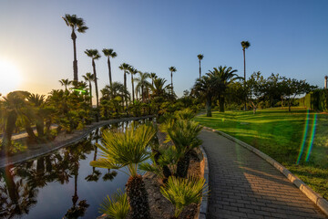 Naklejka premium Peaceful path with palm trees and pond at sunset in José Celestino Mutis Botanical Park, Palos de la Frontera, Huelva, Spain. Nature and travel concept.