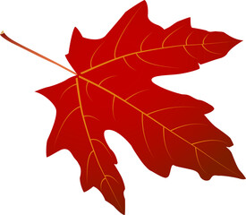 Naklejka premium Red maple leaf rotated 270 degrees — isolated vector for autumn and Canada themed designs. Great for cards, stickers, crafts and print projects. EPS and high-res JPEG included.