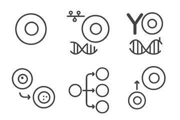 Stem Cell Research Icons. Line style icons of stem cell research: cellular reprogramming icon, epigenetic reset, transcription