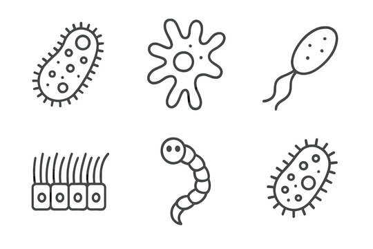 Microbiology Icon Collection. Line style icons of microbiology: protozoa icon, amoeba movement, flagella icon, cilia diagram,