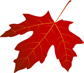Naklejka premium Red maple leaf rotated 180 degrees — isolated vector for autumn and Canada themed designs. Great for cards, stickers, crafts and print projects. EPS and high-res JPEG included.