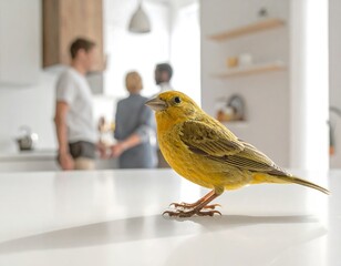 Vibrant Canary Perched on Kitchen Countertop with Family in Background.