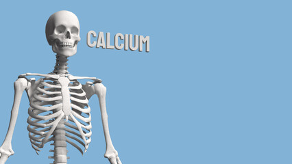 The Skeleton on blue Background for calcium concept 3d Rendering.