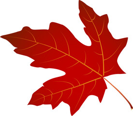 Red maple leaf with arc +25 effect rotated 90° — isolated vector for autumn design, stickers, cards, crafts and print projects. EPS + high-res JPEG included.